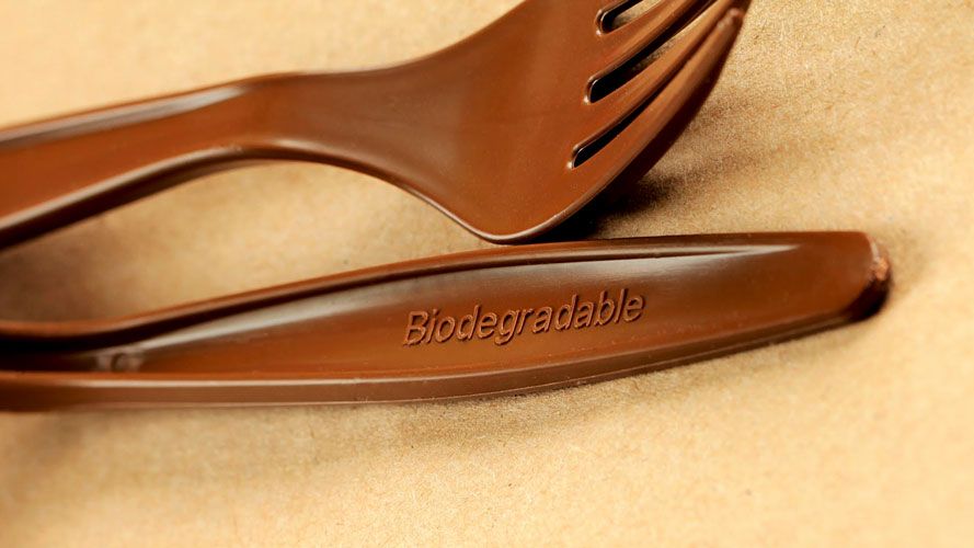 Apakah Plastik Merupakan Material Biodegradable? | Tokoplas.com